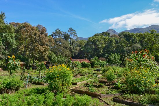 Trilhas do Araçari: O Cenário Perfeito para Casamentos e Festas na Região Serrana
